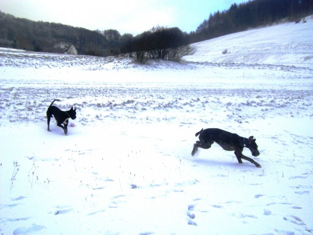 28.12.08 - foto