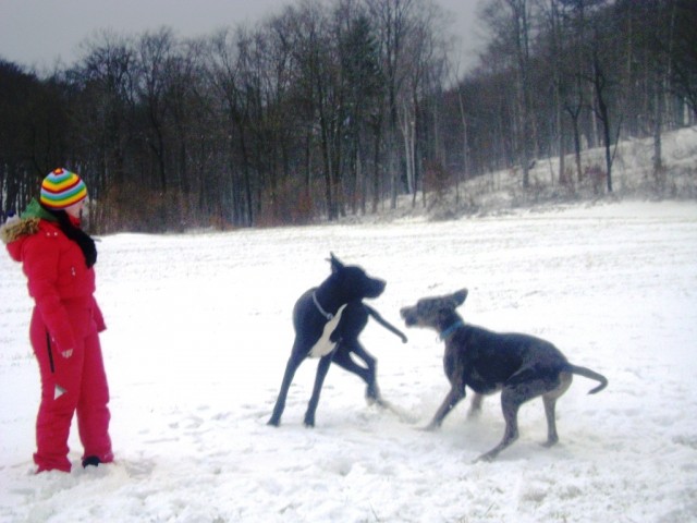28.12.08 - foto