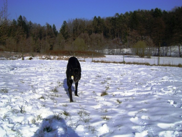 16.01.2009 - foto
