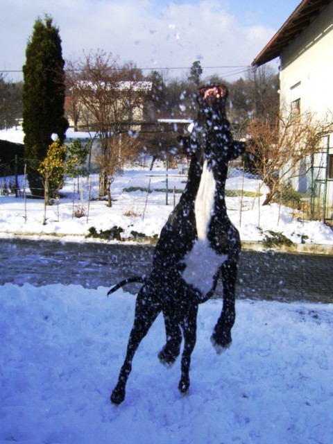 16.01.2009 - foto