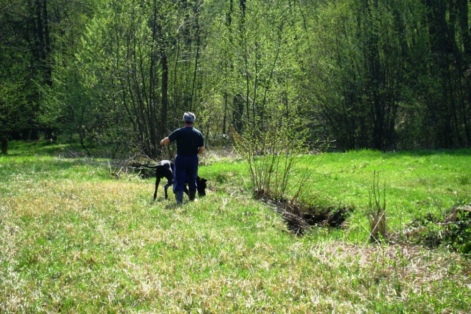 12.04.09 - foto povečava