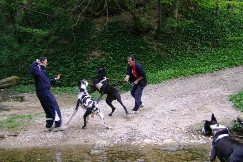 12.04.09 - foto povečava