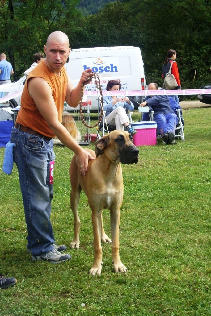 Cactrbovlje2009 - foto povečava