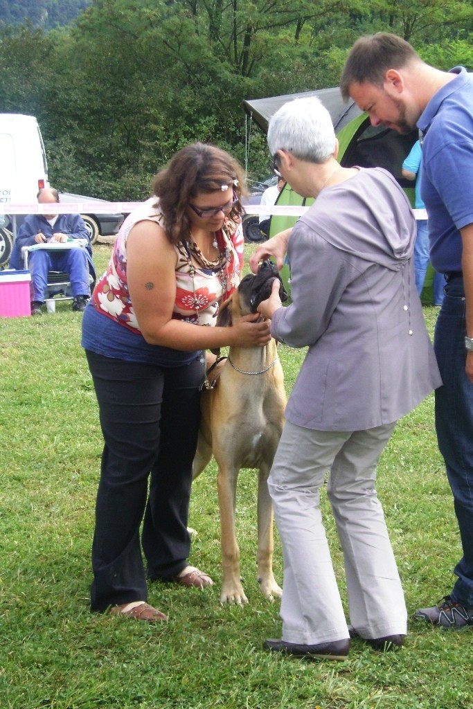 Cactrbovlje2009 - foto povečava