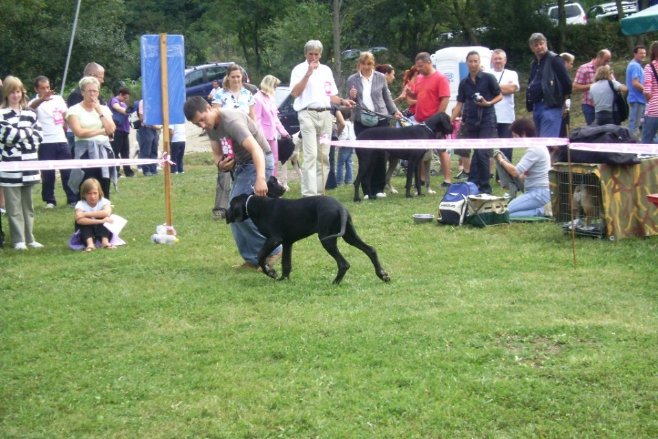 Cactrbovlje2009 - foto povečava