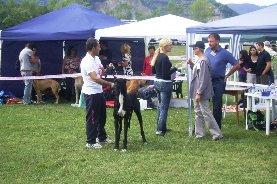 Cactrbovlje2009 - foto povečava