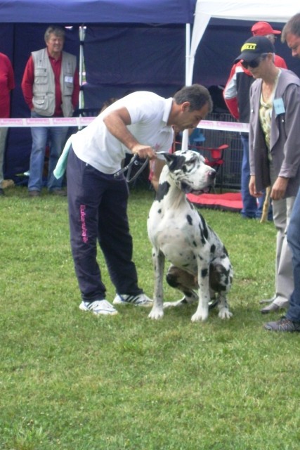 Cactrbovlje2009 - foto