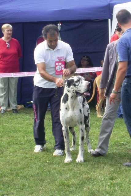 Cactrbovlje2009 - foto