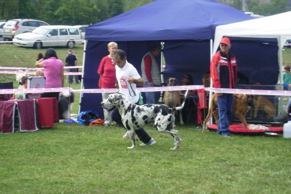 Cactrbovlje2009 - foto povečava