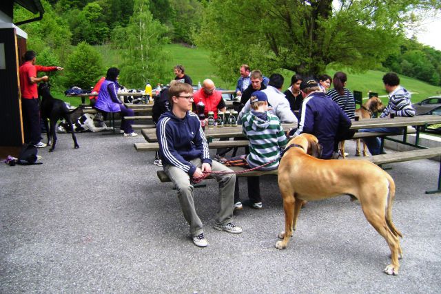 Doga piknik 09.05.2010 - foto