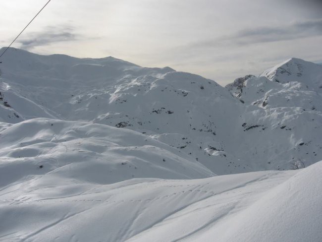 Vogel - foto povečava