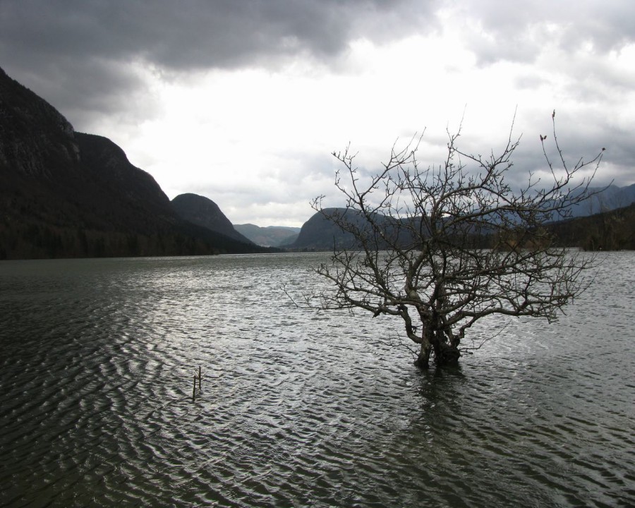 Bohinj_velika voda - foto povečava