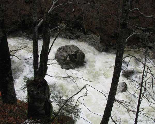 Bohinj_velika voda - foto