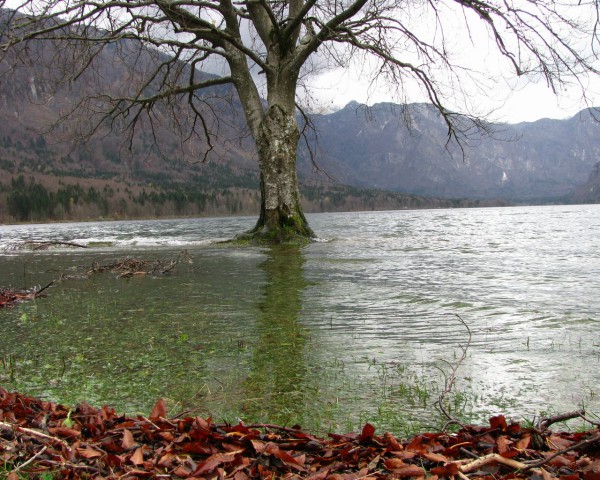 Bohinj_velika voda - foto