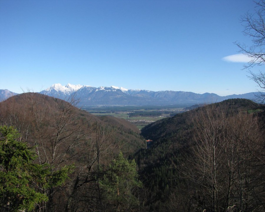 Govejk 2 - foto povečava