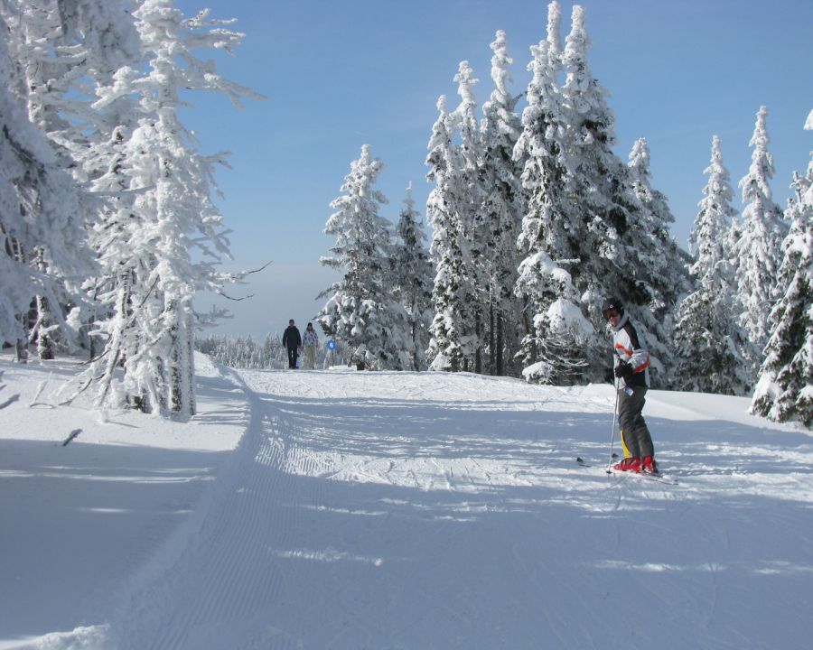 Kope 2010 - foto povečava