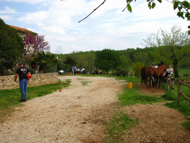 Goli vrh - Istra - april 2010 - foto