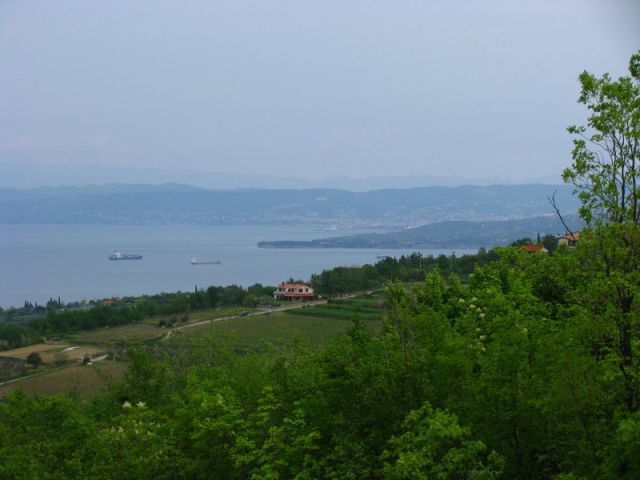 Goli vrh - Istra - april 2010 - foto