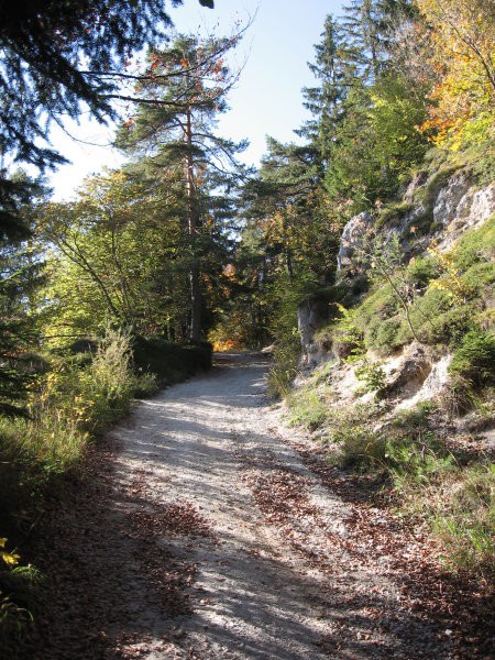 Sv.Mohor - foto povečava