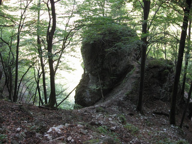 Pekel - foto povečava