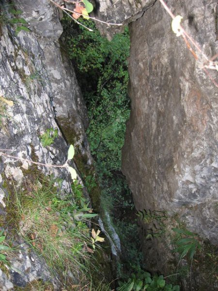 Pekel - foto povečava