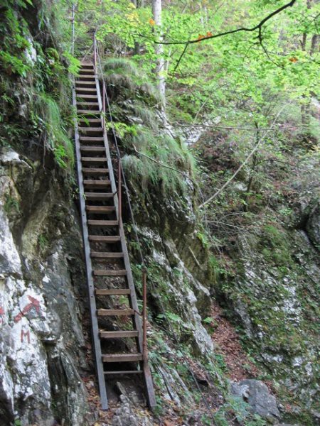 Pekel - foto povečava