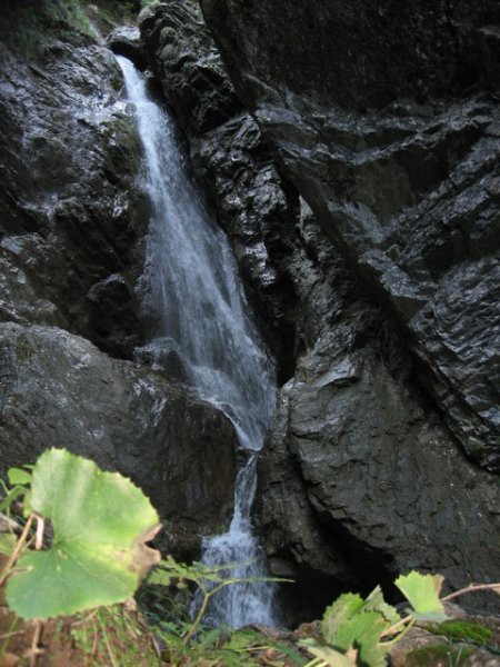 Pekel - foto povečava