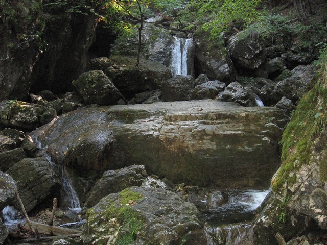 Pekel - foto povečava