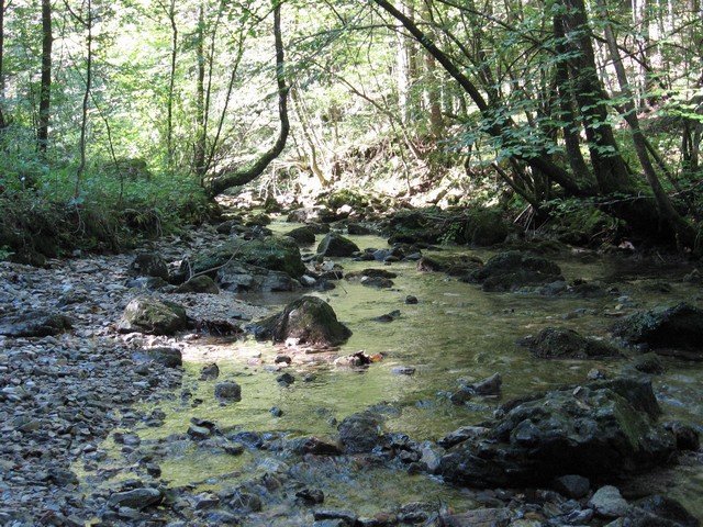 Pekel - foto povečava