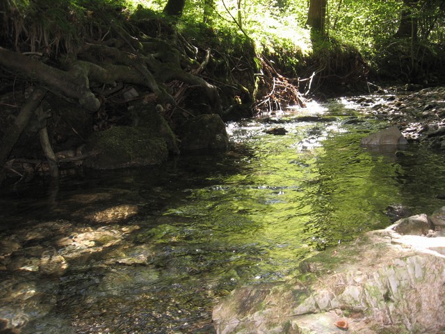 Pekel - foto povečava