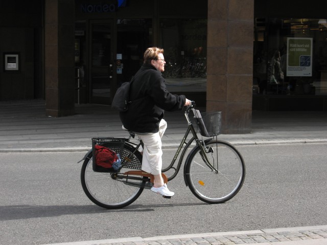 Swerige2006/2007 - foto