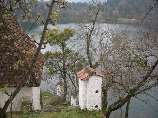 Bled 2007 - foto povečava