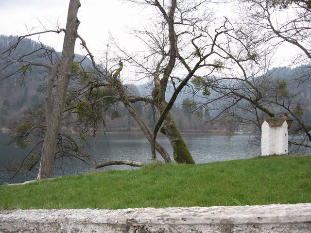 Bled 2007 - foto