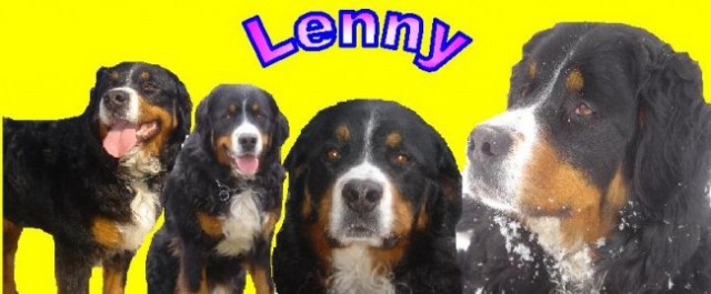 Lenny (ustvarjanje) - foto