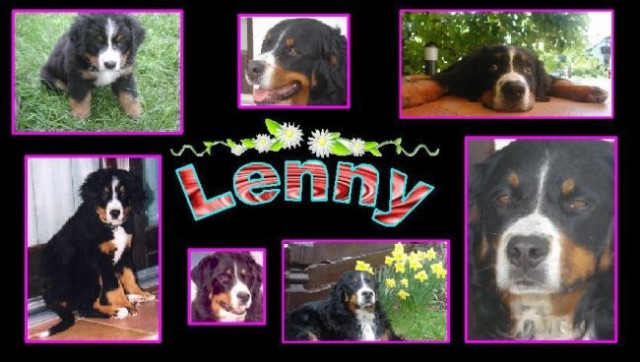 Lenny (ustvarjanje) - foto