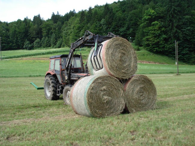 Torpedo - foto povečava