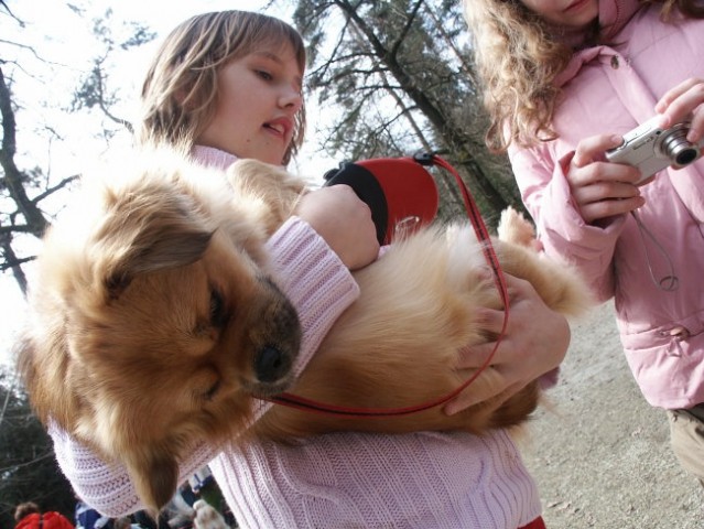 Srečanje 25.3.2006 - foto