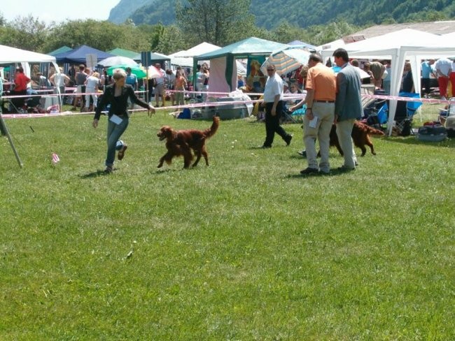 Cac Hrusica 2005 - foto povečava