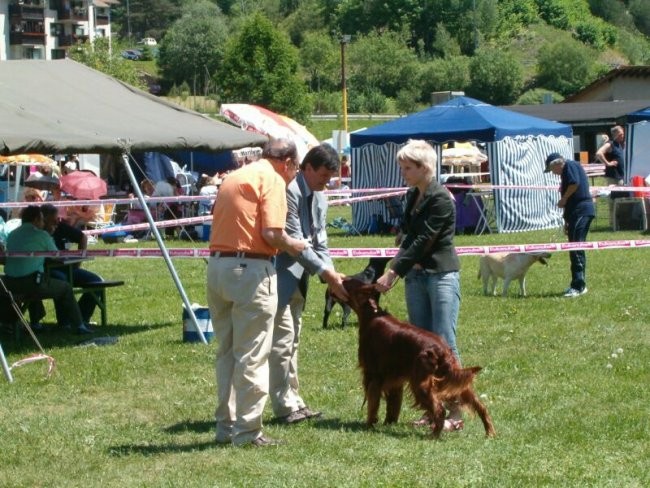 Cac Hrusica 2005 - foto povečava