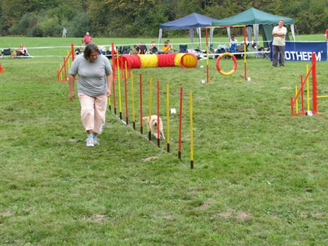 Agility tekma v Kočevju - foto