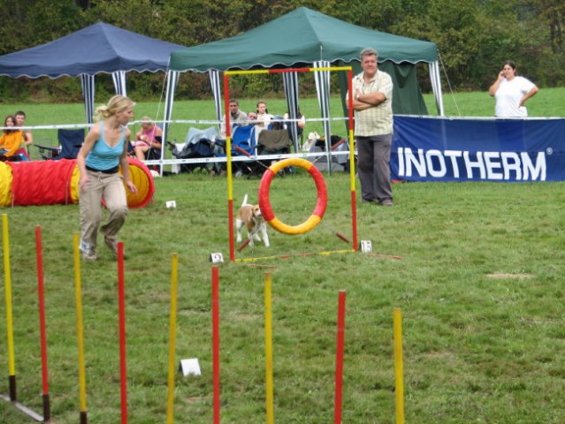 Agility tekma v Kočevju - foto