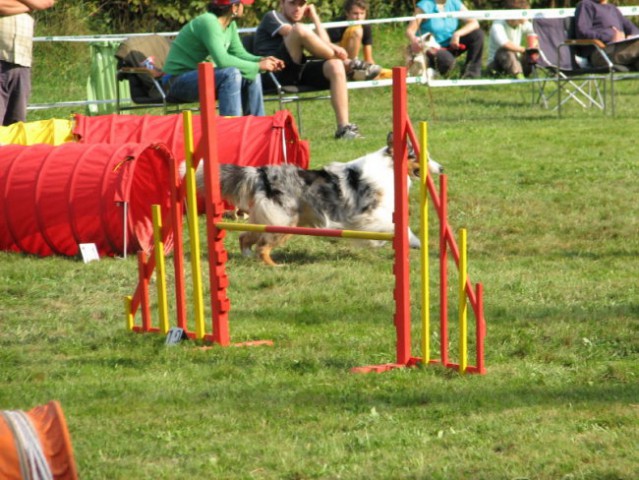 Agility tekma v Kočevju - foto