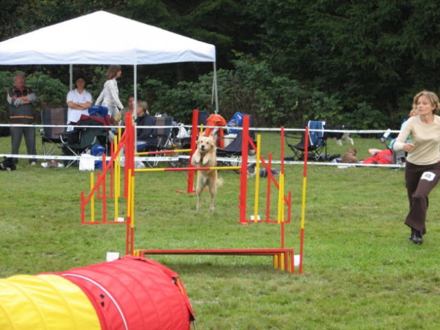 Agility tekma v Kočevju - foto