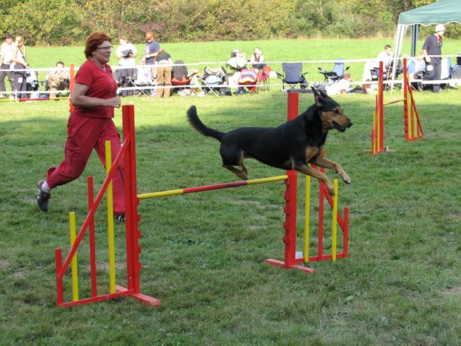 Agility tekma v Kočevju - foto povečava