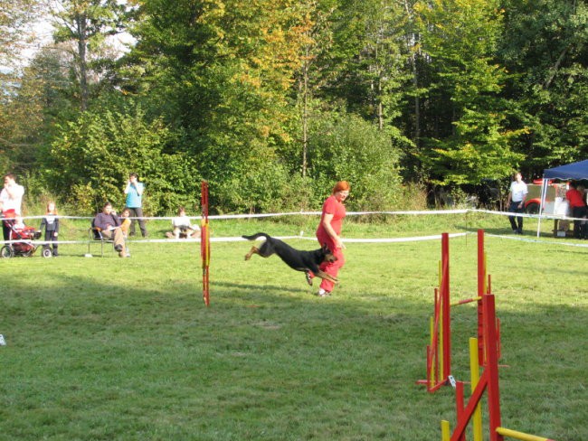 Agility tekma v Kočevju - foto povečava