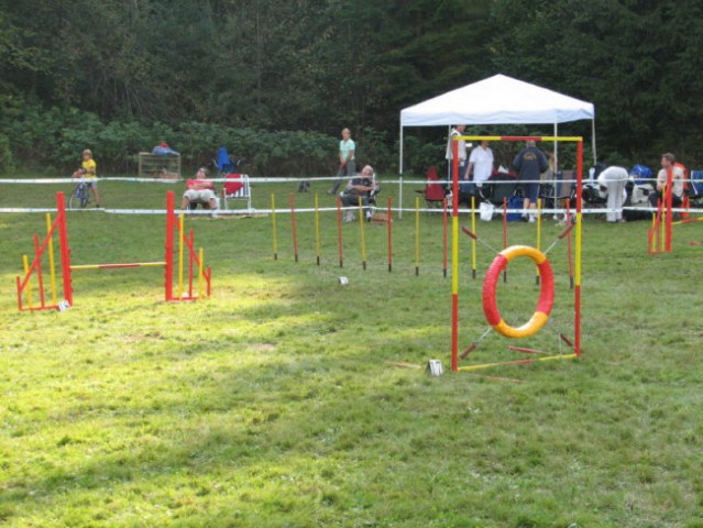 Agility tekma v Kočevju - foto