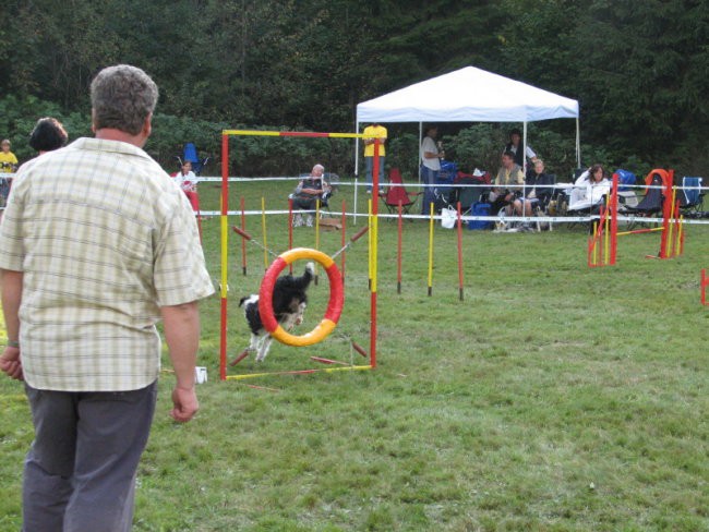 Agility tekma v Kočevju - foto povečava