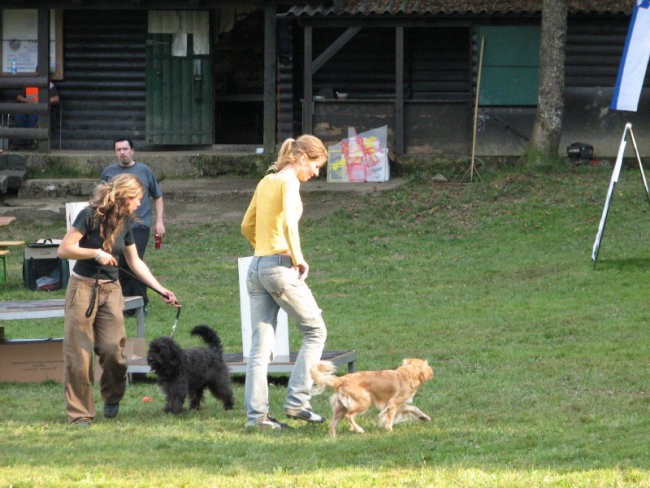 Agility tekma v Kočevju - foto povečava