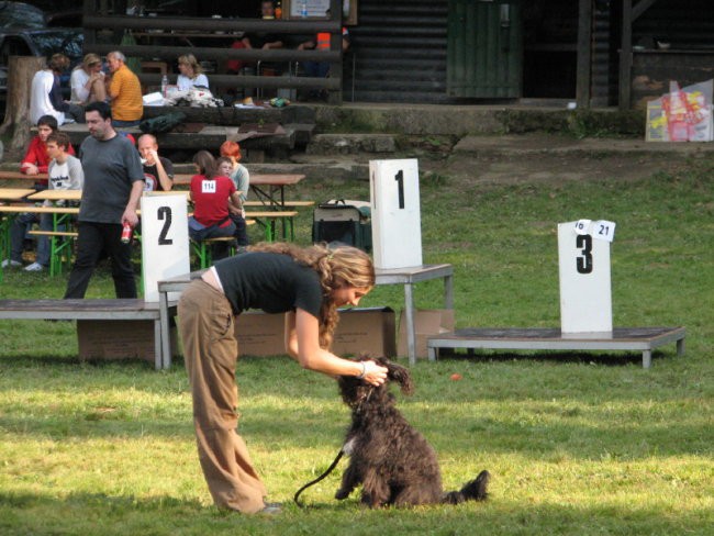 Agility tekma v Kočevju - foto povečava