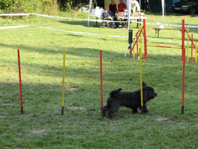 Agility tekma v Kočevju - foto povečava